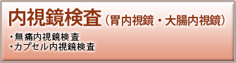 内視鏡検査(胃内視鏡・大腸内視鏡)