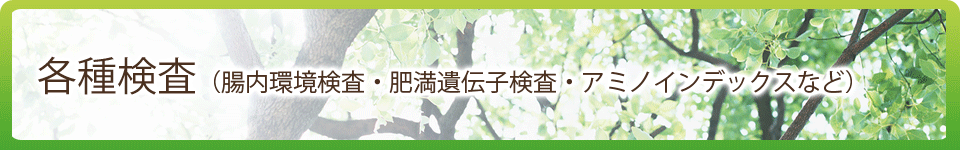 各種検査（腸内環境検査・肥満遺伝子検査・アミノインデックスなど）