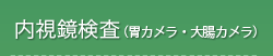 内視鏡検査(胃カメラ・大腸カメラ)