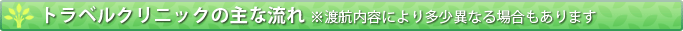トラベルクリニックの主な流れ